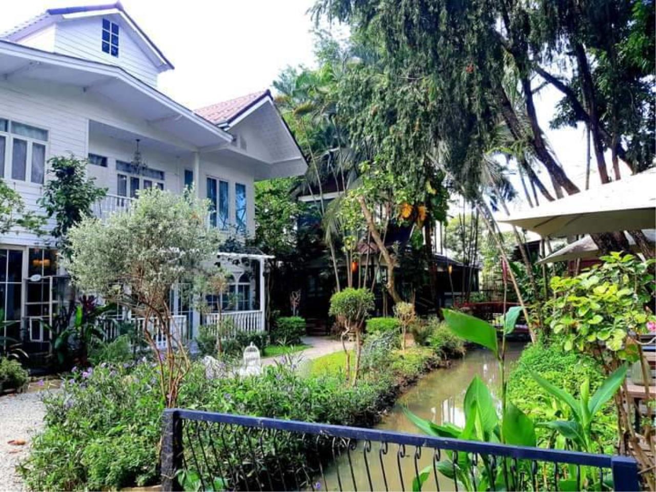 Rent a vintage style house in Saraphi Yang Noeng zone.  Rent 45,000 baht /month