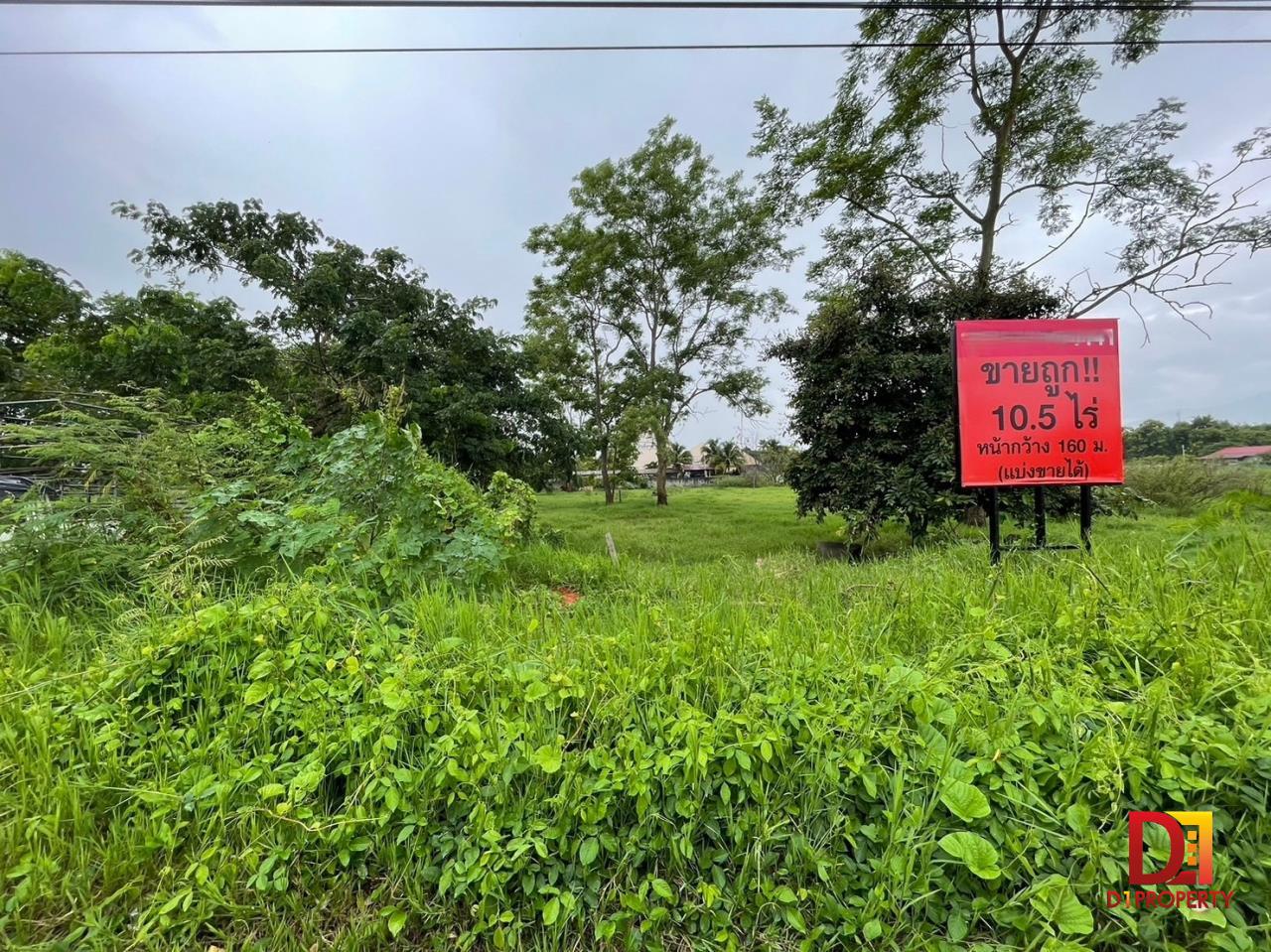 Sale of land zone Rim Tai, Mae Rim