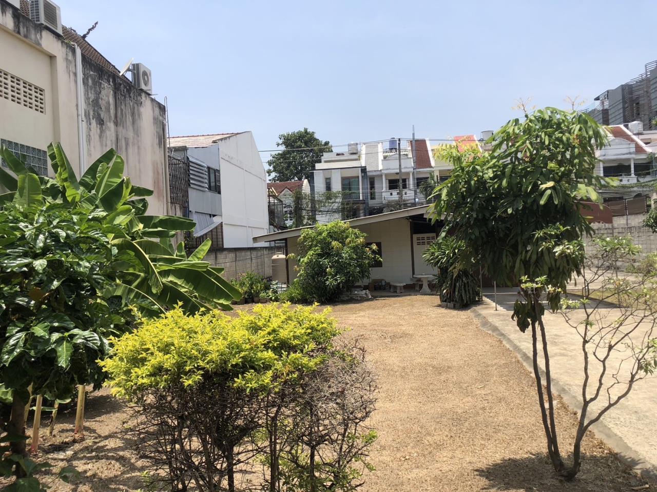 Land for rent in Nimman zone near One Nimman .