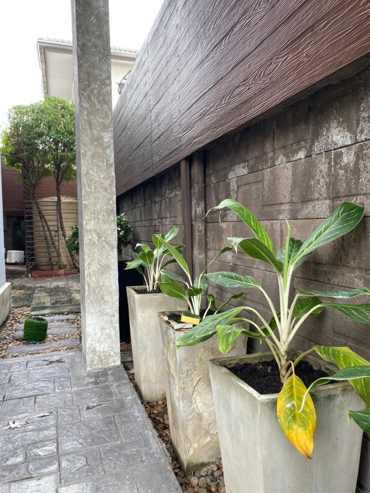 House for rent in The Plant Estique Pattanakarn 38 project.