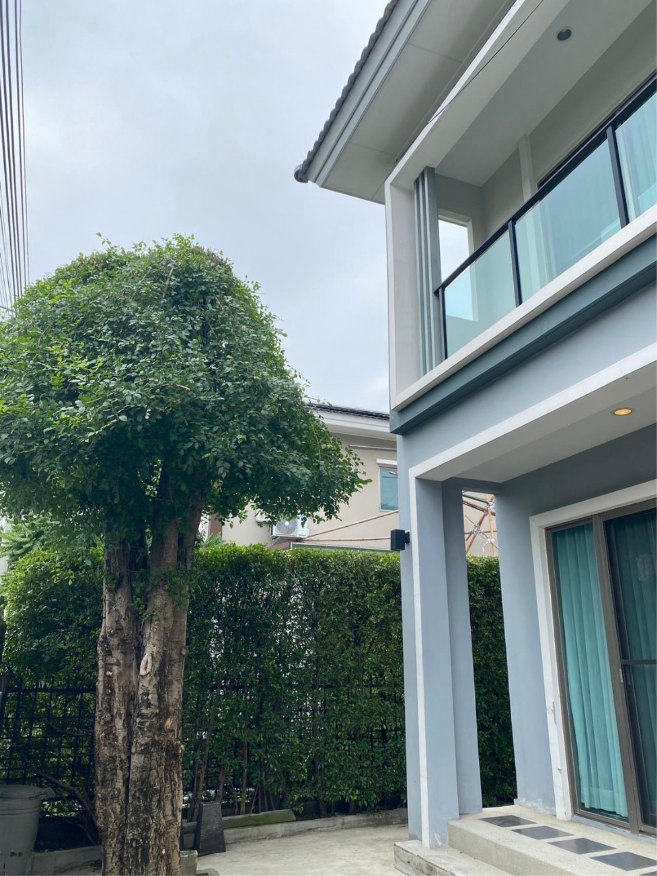 House for rent in The Plant Estique Pattanakarn 38 project.
