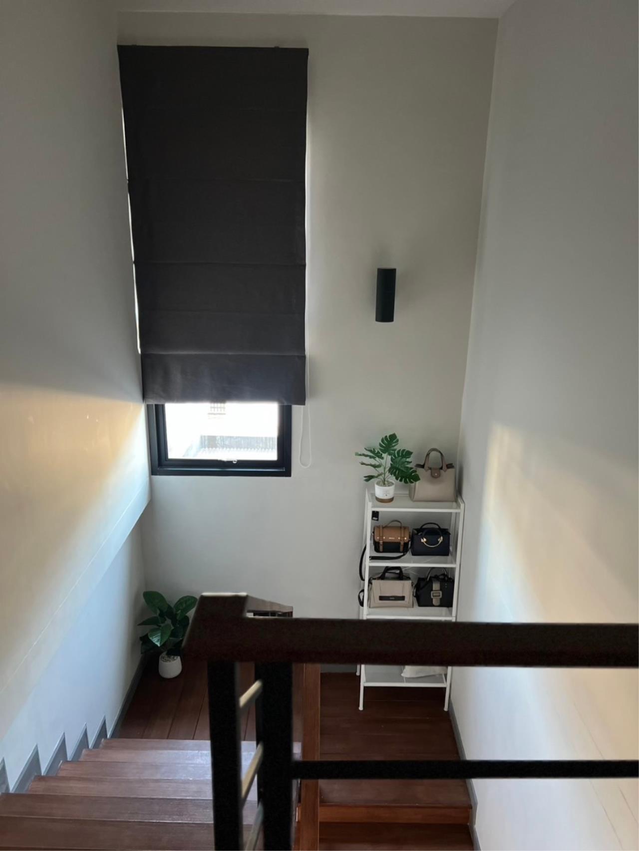 House for rent in San Kamphaeng zone, near Unity Concord International School.