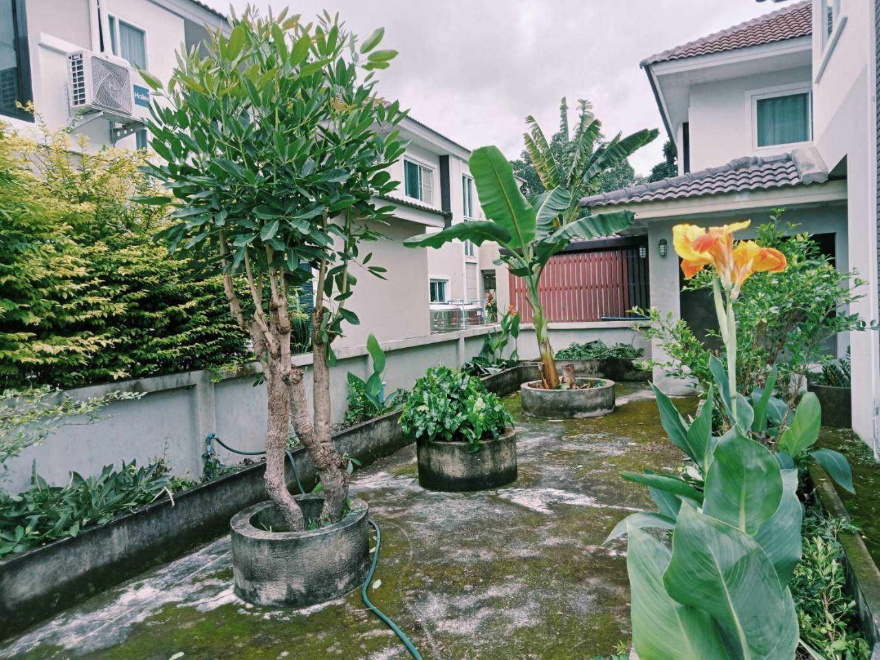 House for rent in Tha Rua zone, near Makro, Chiang Mai.