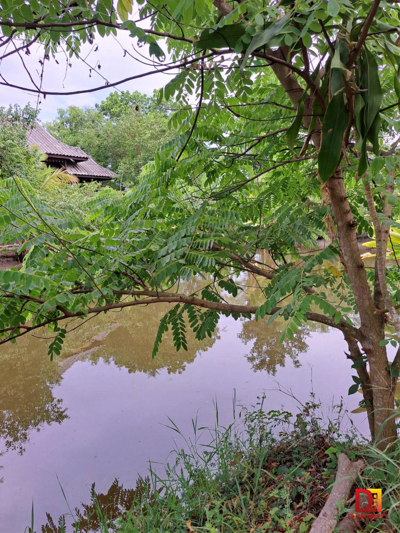 Baan Suan Thad Dao for rent Around the pond in Longan Garden