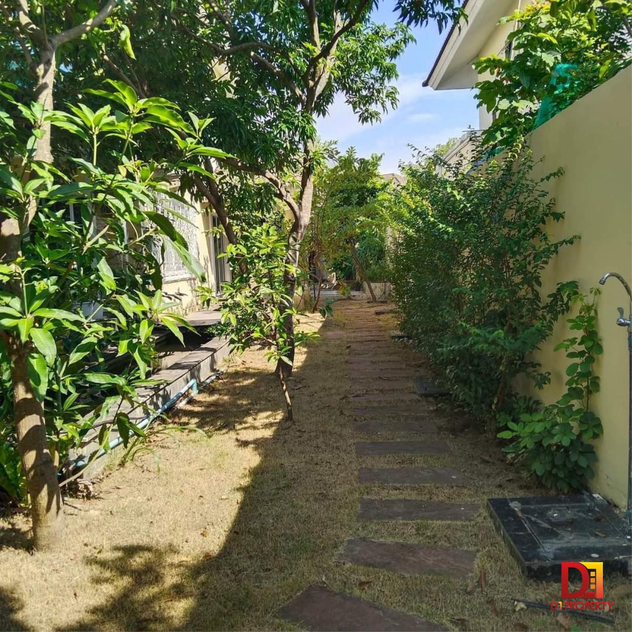 House for rent in Doi Saket zone near Tha Rua market.