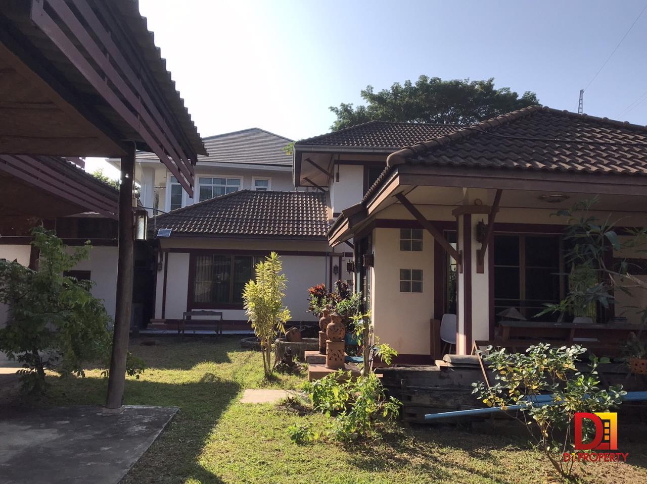 House for sale in San Sai zone.