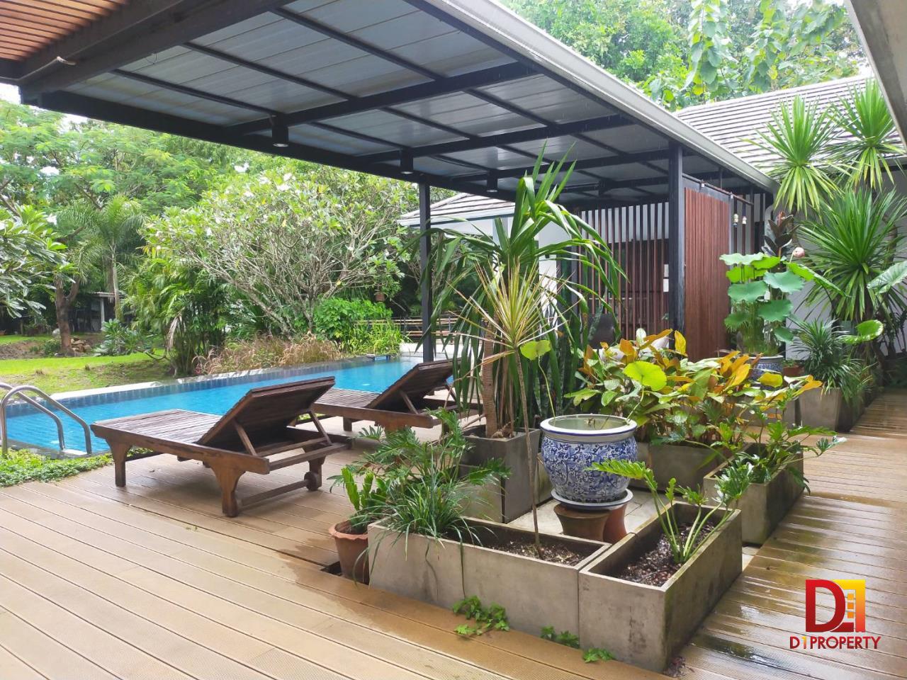 Pool villa for sale with tenant San Kamphaeng