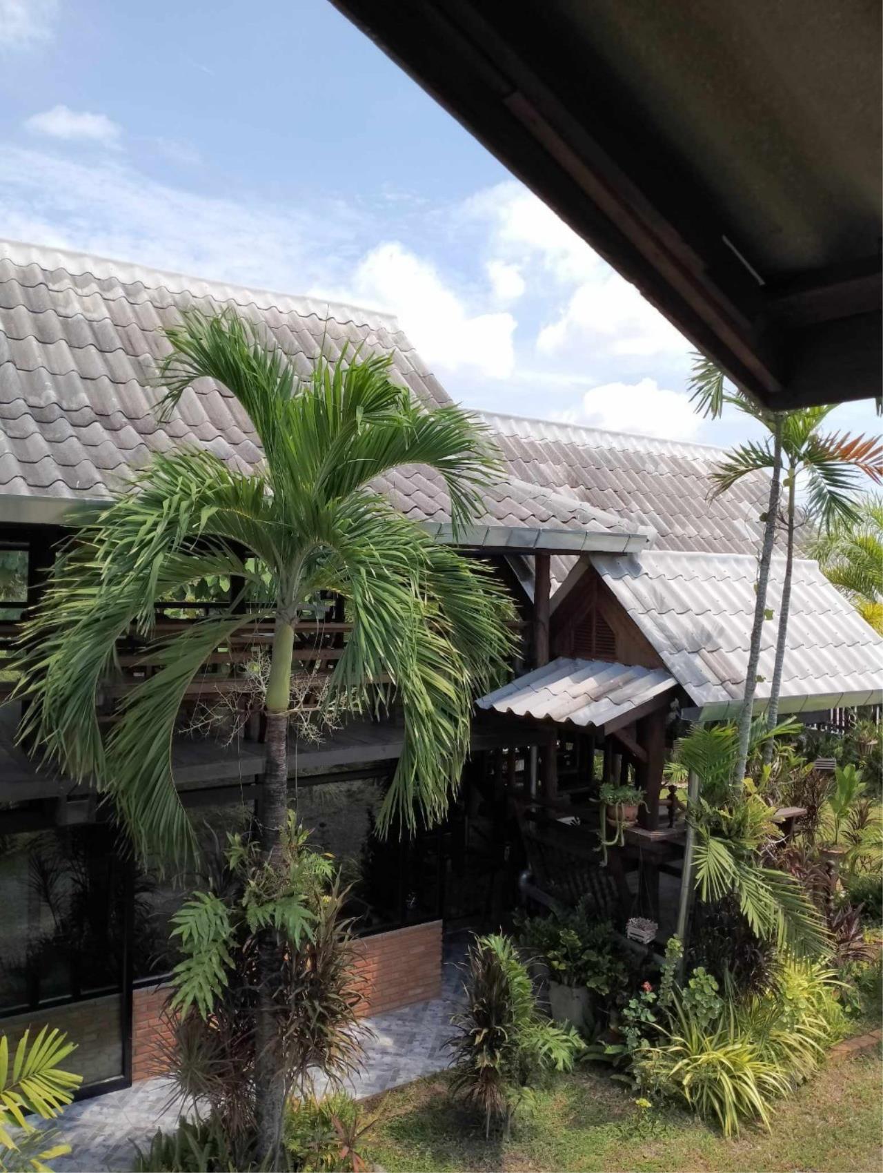 Sell / rent a garden house, semi-resort in San Kamphaeng zone near Charoen Market.