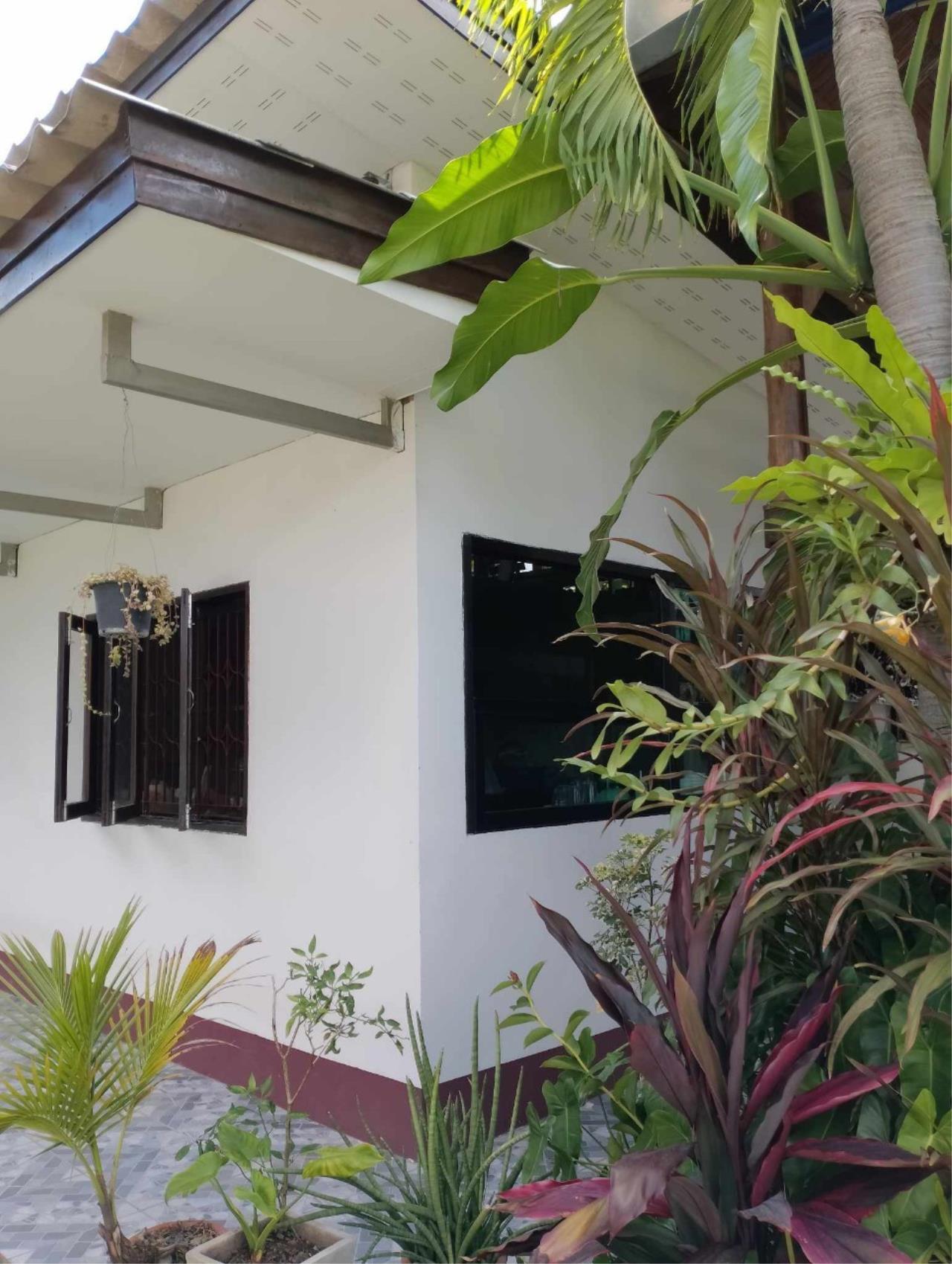 Sell / rent a garden house, semi-resort in San Kamphaeng zone near Charoen Market.