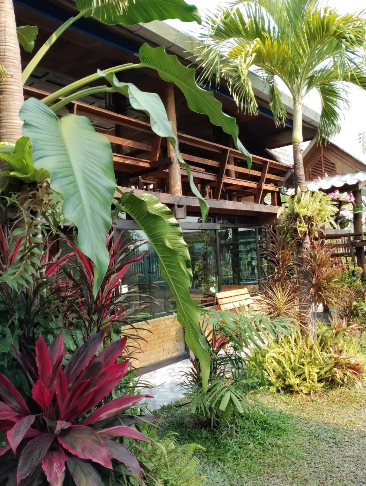 Sell / rent a garden house, semi-resort in San Kamphaeng zone near Charoen Market.