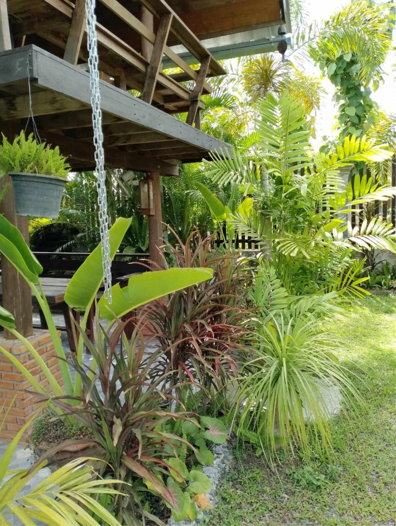 Sell / rent a garden house, semi-resort in San Kamphaeng zone near Charoen Market.