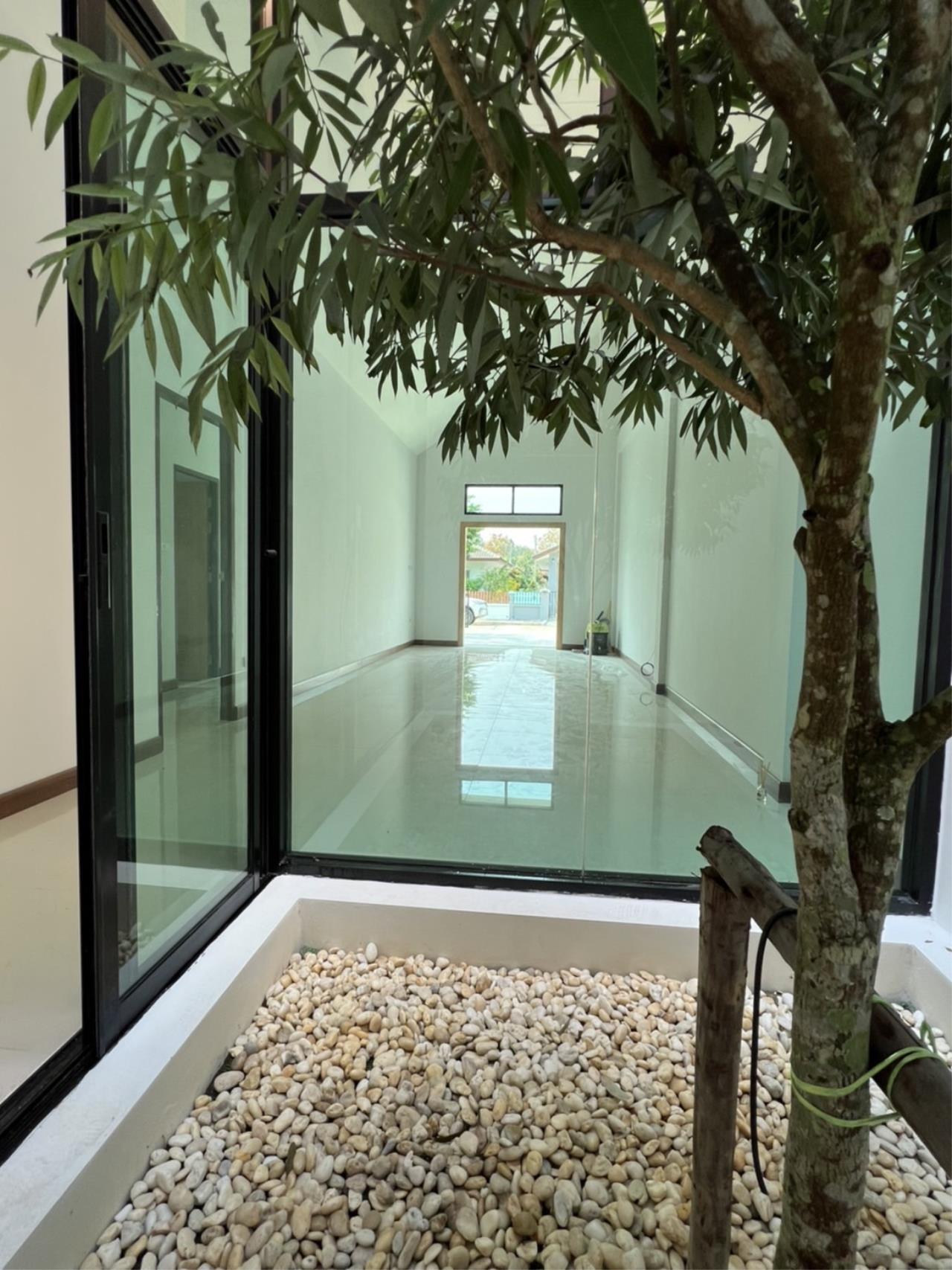 Twin house for sale, San Sai, Maejo