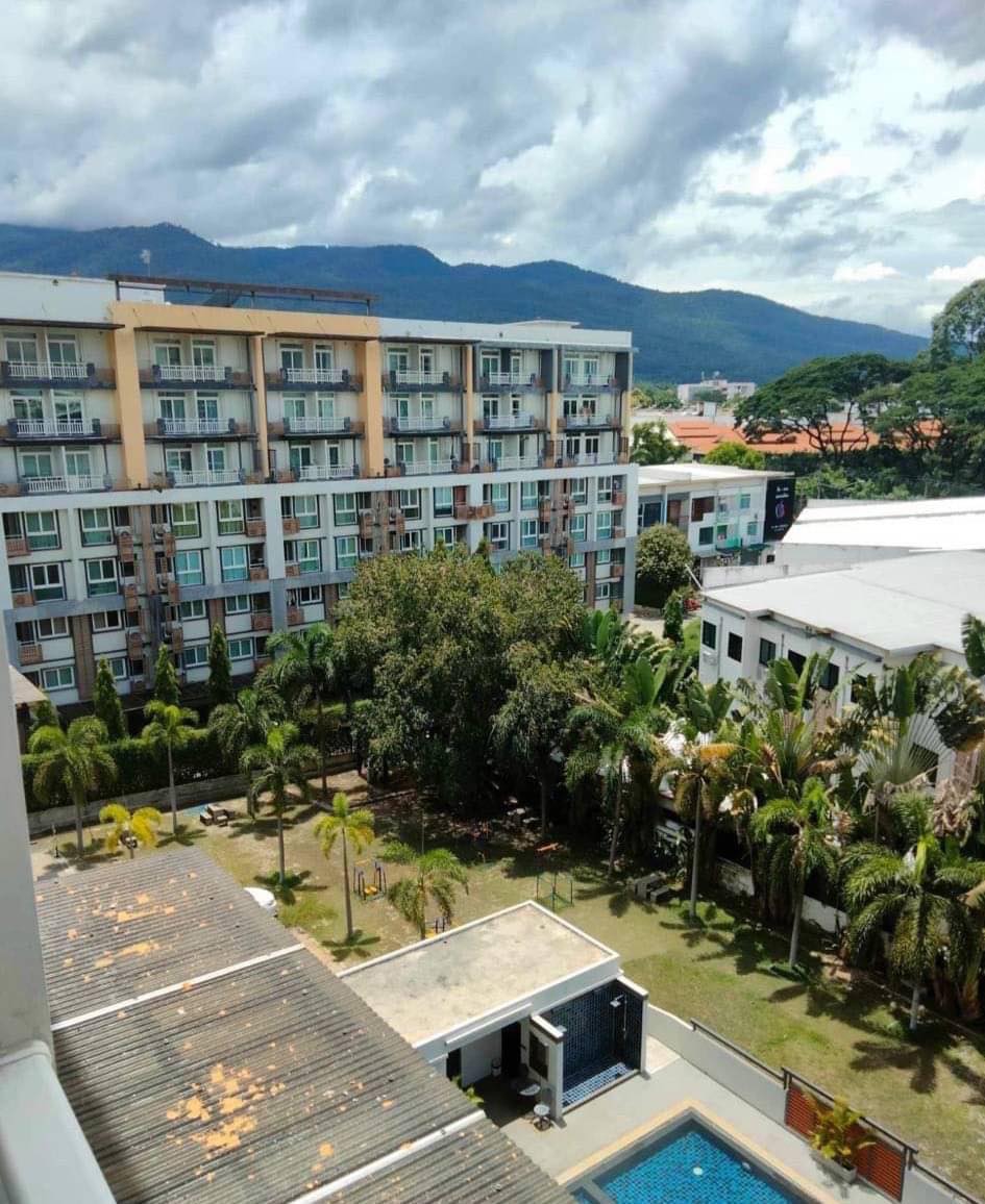 🏢 Sell/rent Condo Punna, next to Chiang Mai University, swimming pool view.