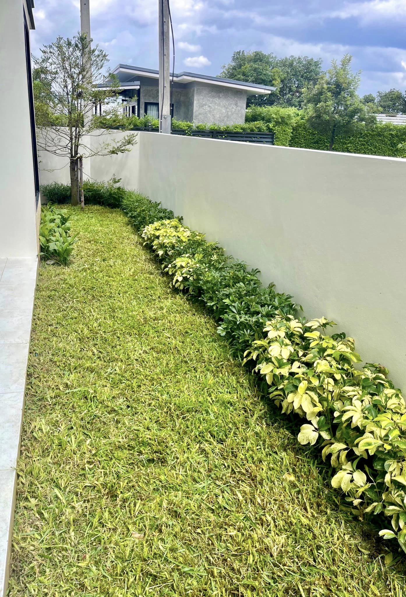 Newly built house for sale in the heart of the city. 📢