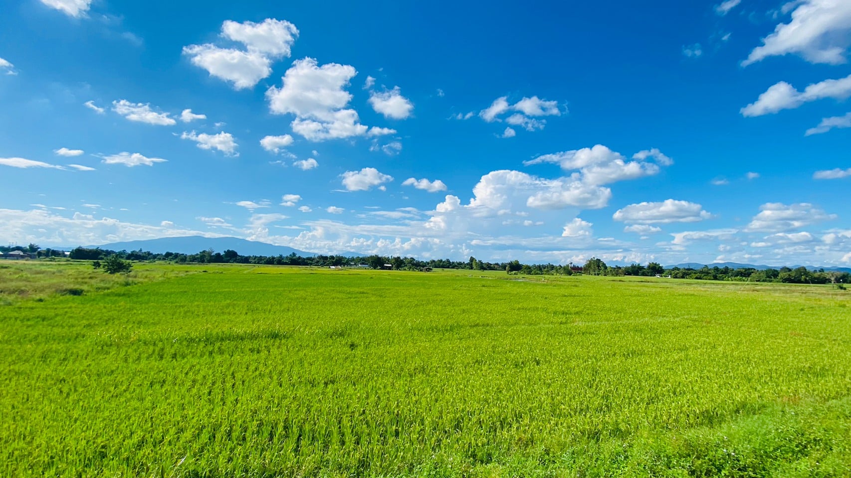 3 Bedroom Pool Villa, Gorgeous Views in Doi Saket