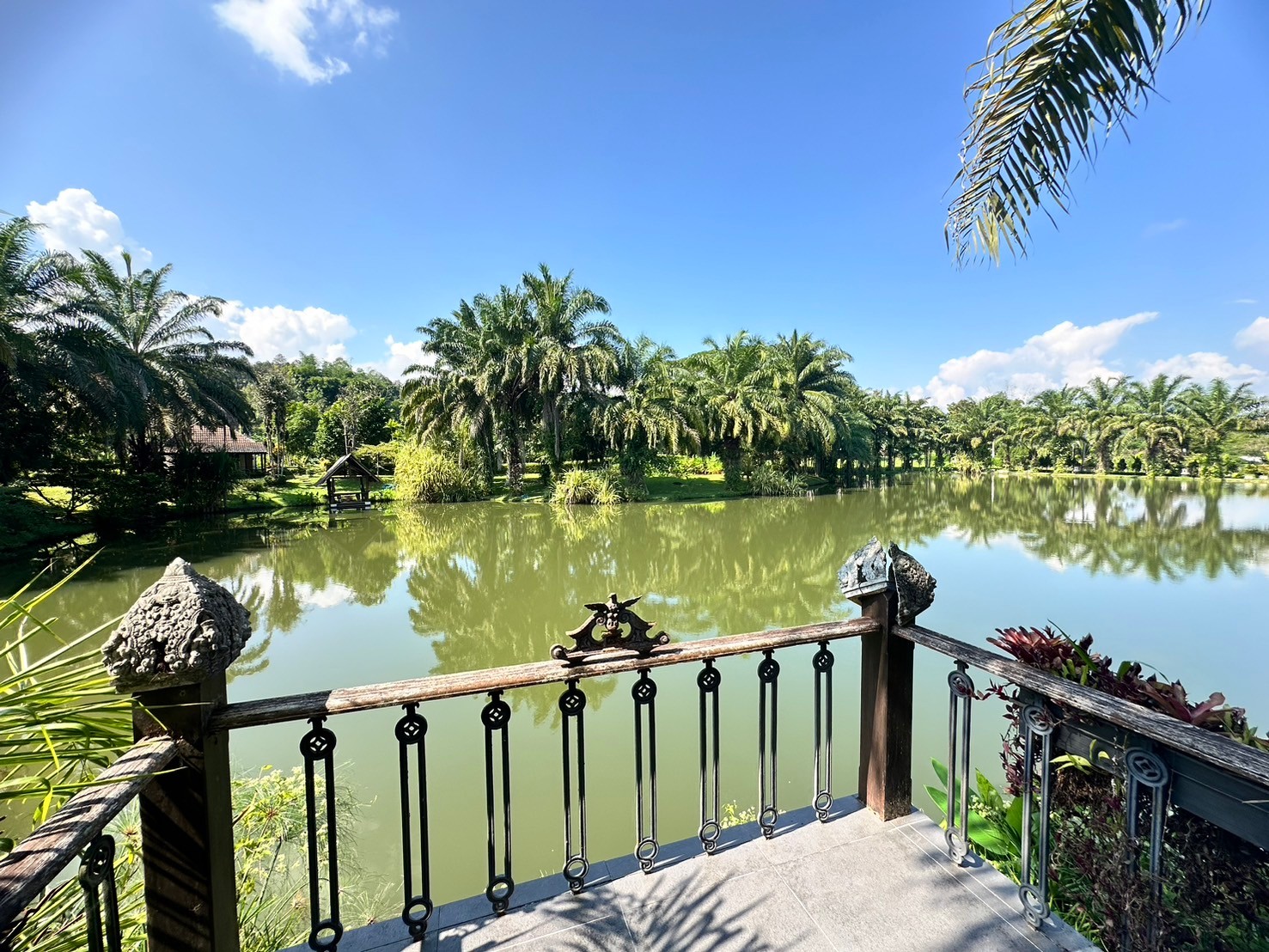 Luxury garden compound in Northern Mae Rim