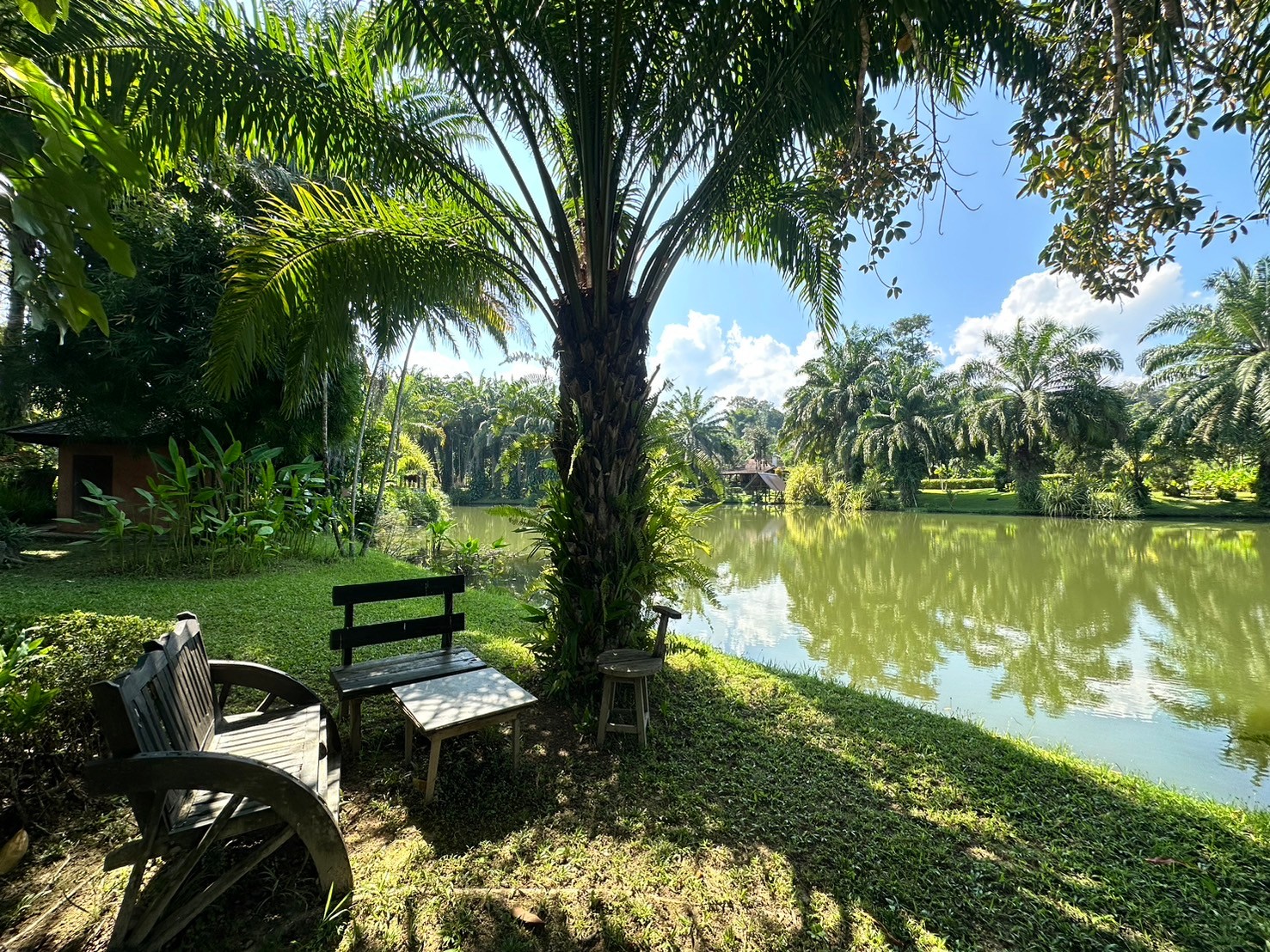 Luxury garden compound in Northern Mae Rim
