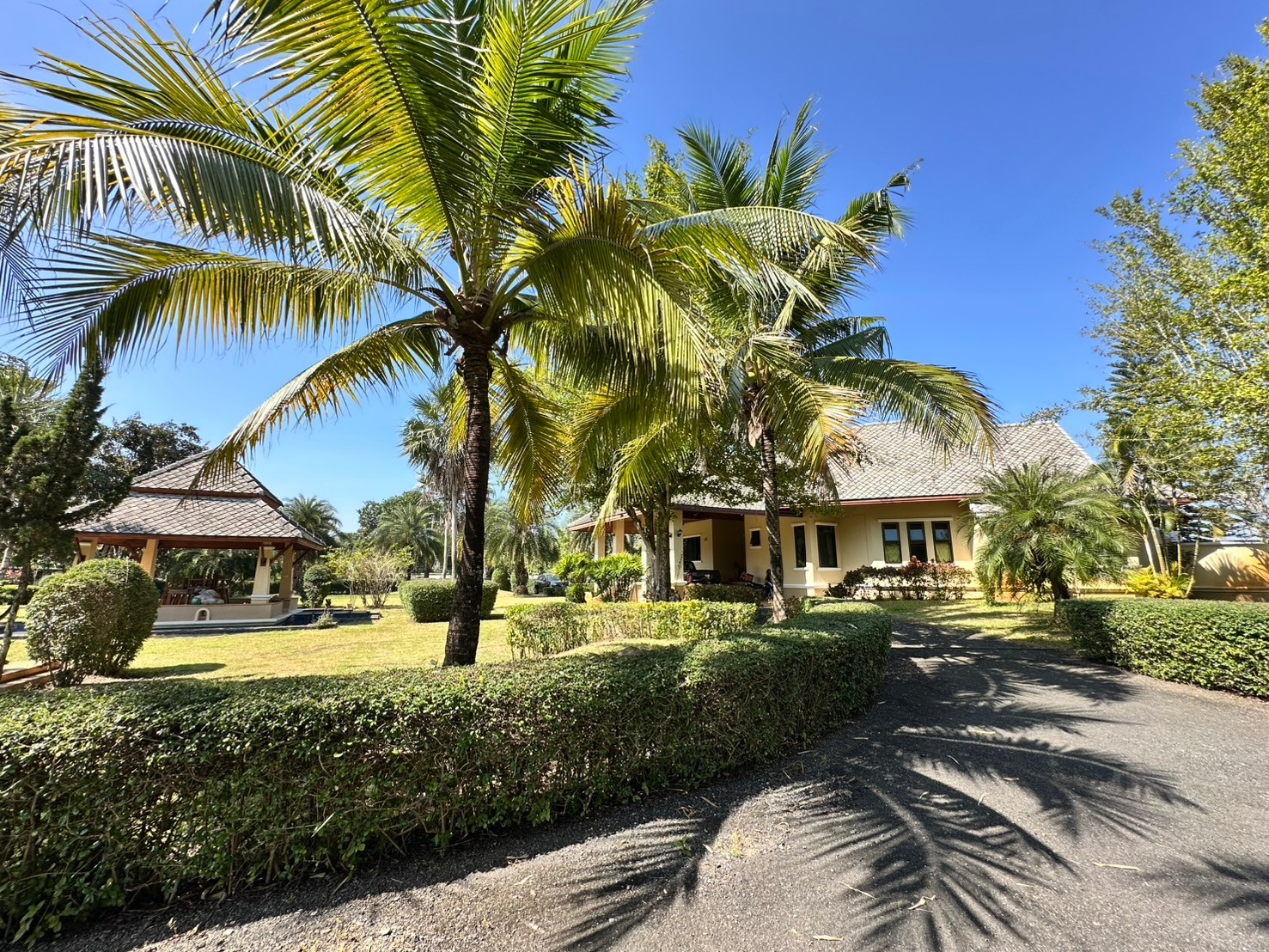 House for sale with big garden in Doisaket